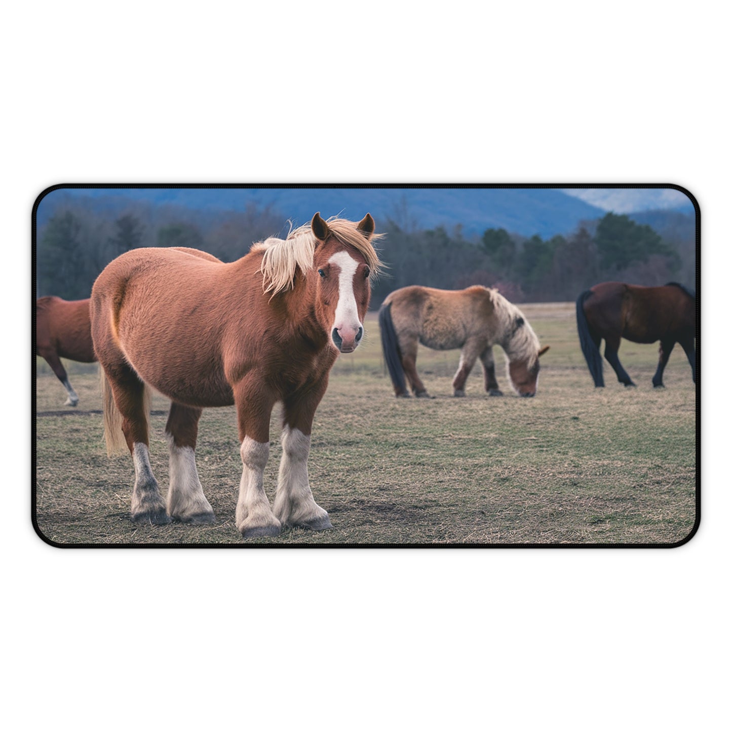 Great Smoky Mountains National Park Horses in a Field Desk Mat
