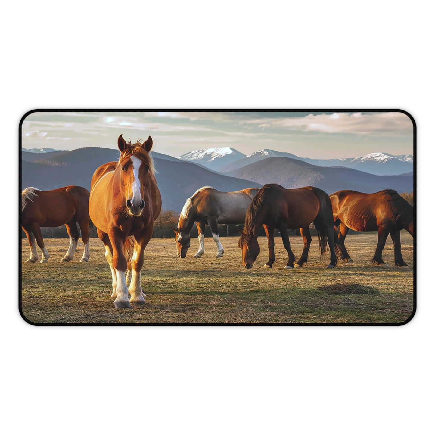 Great Smoky Mountains National Park Horses In a Field During the Winter Desk Mat