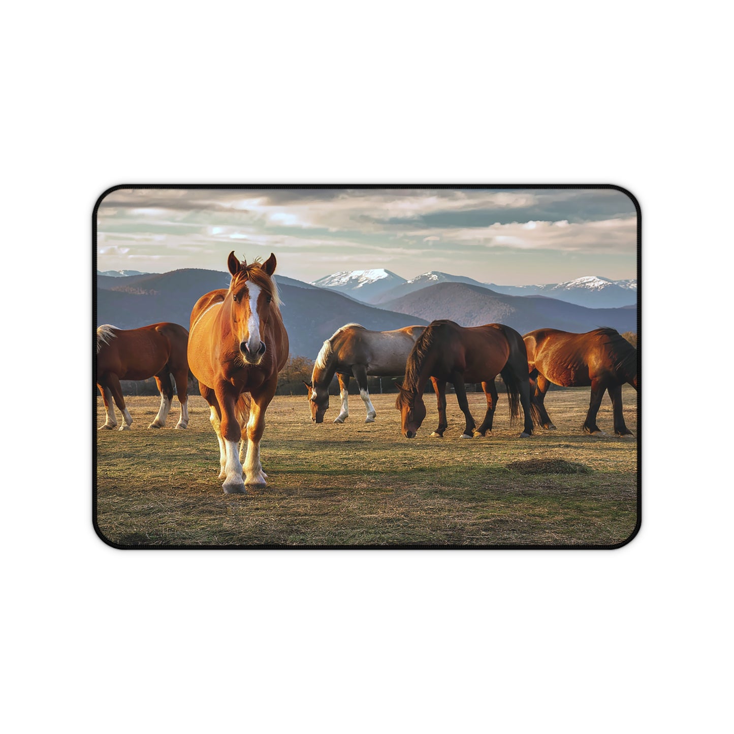 Great Smoky Mountains National Park Horses In a Field During the Winter Desk Mat