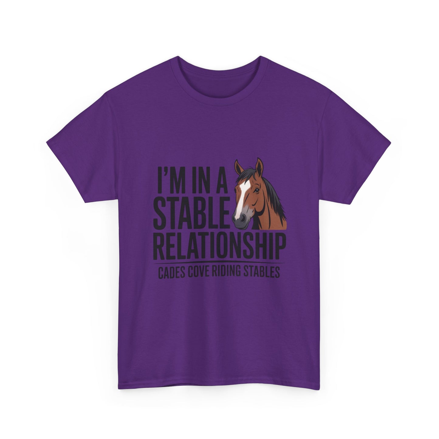I’m in a Stable Relationship T-Shirt – Funny Horse Lover Tee | Cades Cove Riding Stables