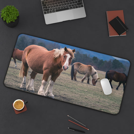 Great Smoky Mountains National Park Horses in a Field Desk Mat