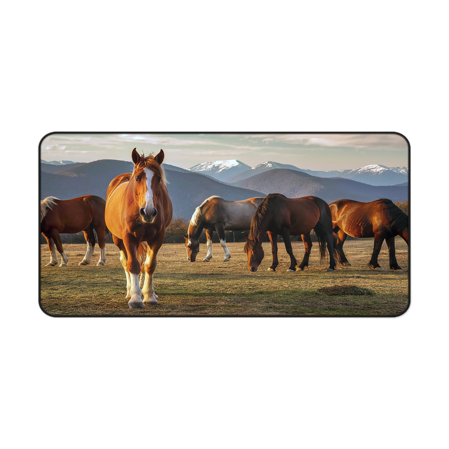 Great Smoky Mountains National Park Horses In a Field During the Winter Desk Mat