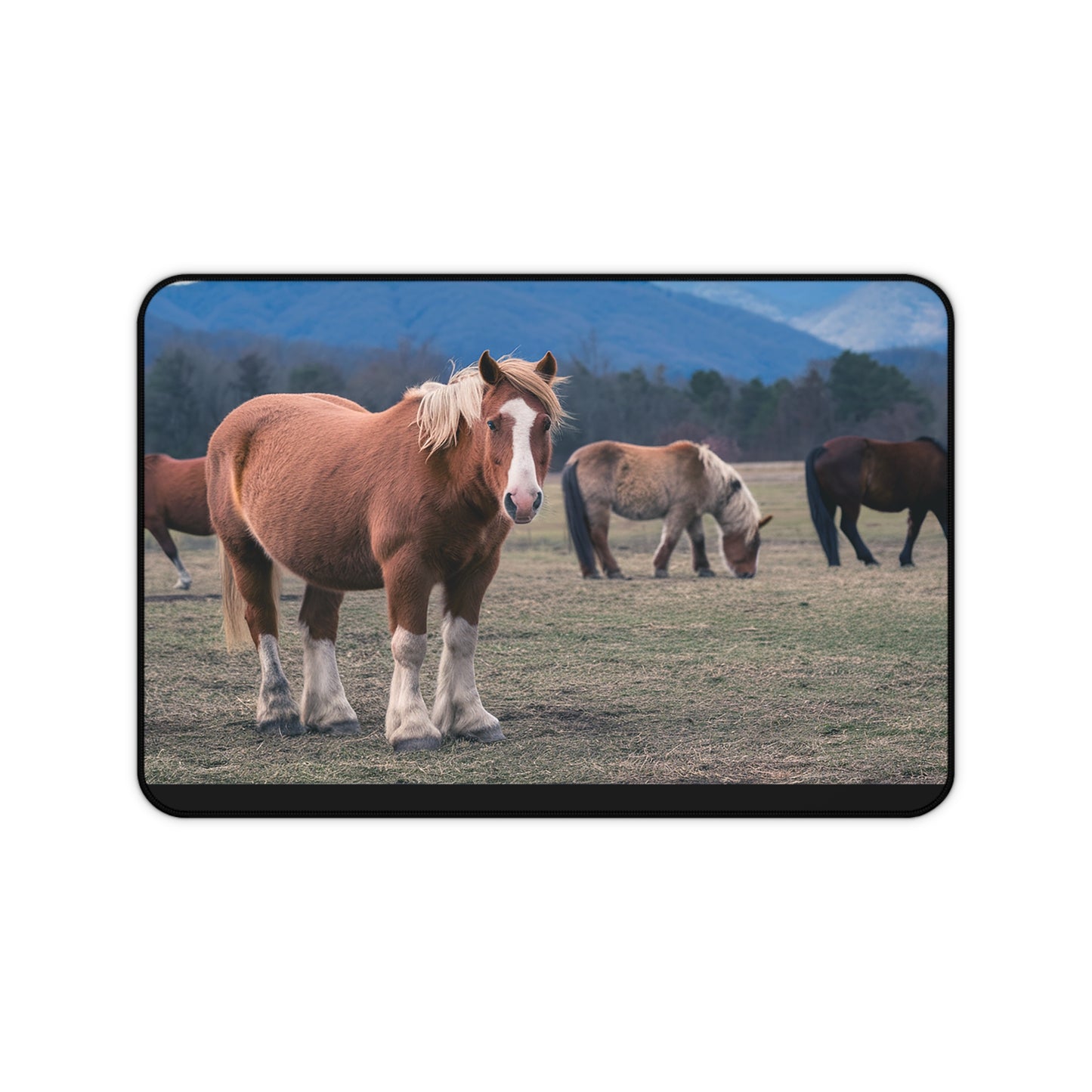 Great Smoky Mountains National Park Horses in a Field Desk Mat