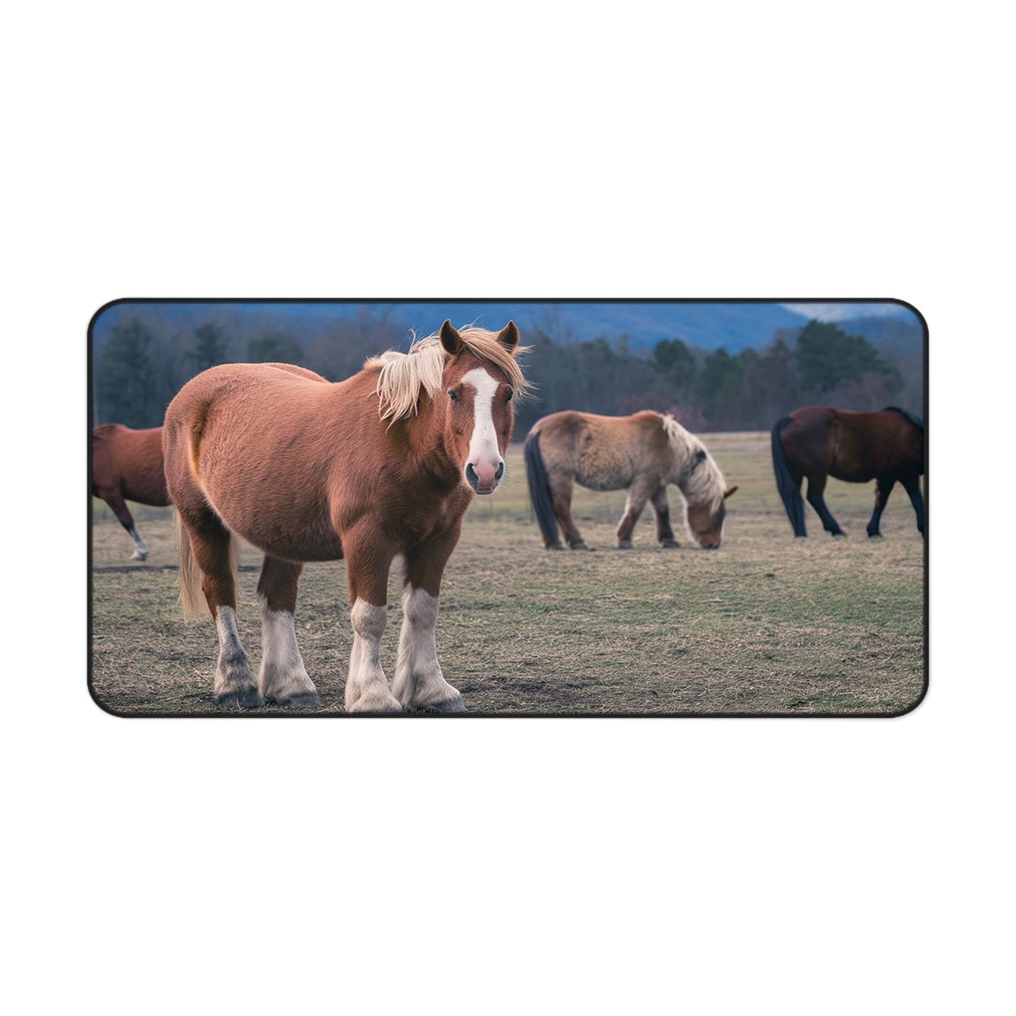 Great Smoky Mountains National Park Horses in a Field Desk Mat