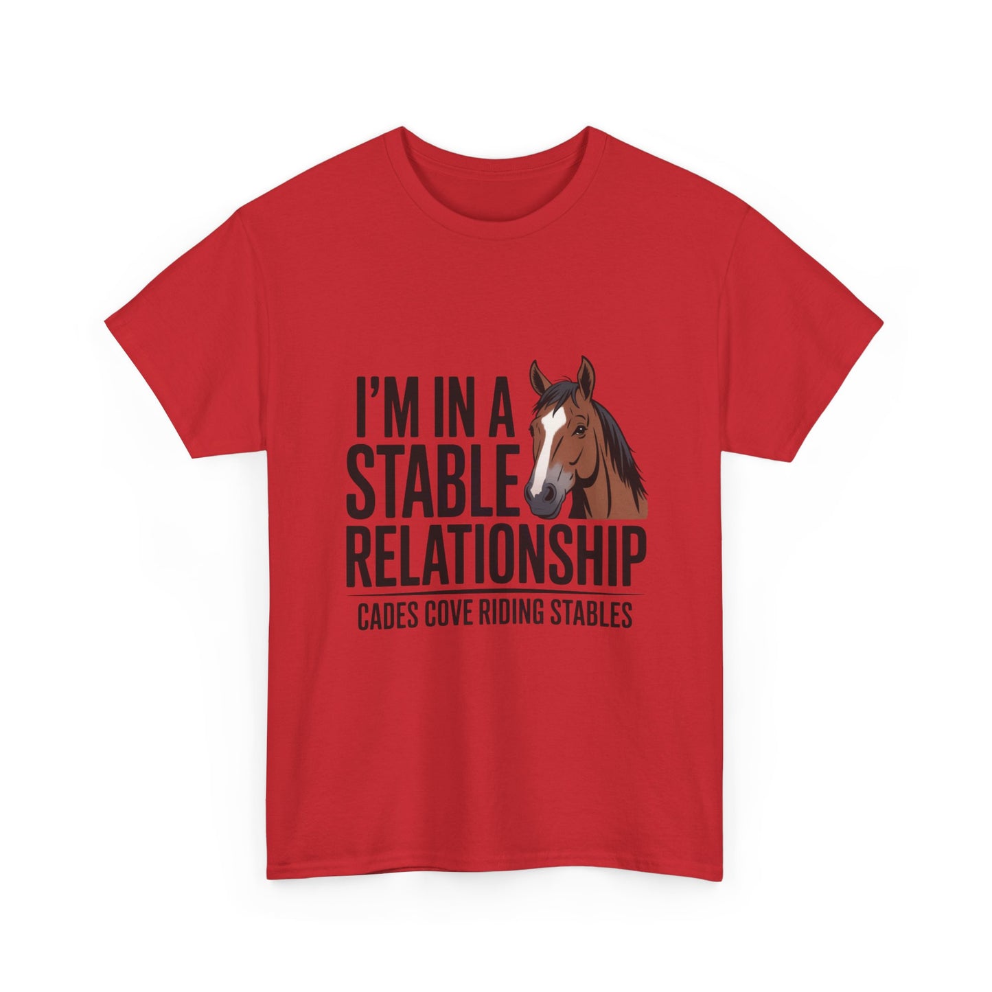 I’m in a Stable Relationship T-Shirt – Funny Horse Lover Tee | Cades Cove Riding Stables