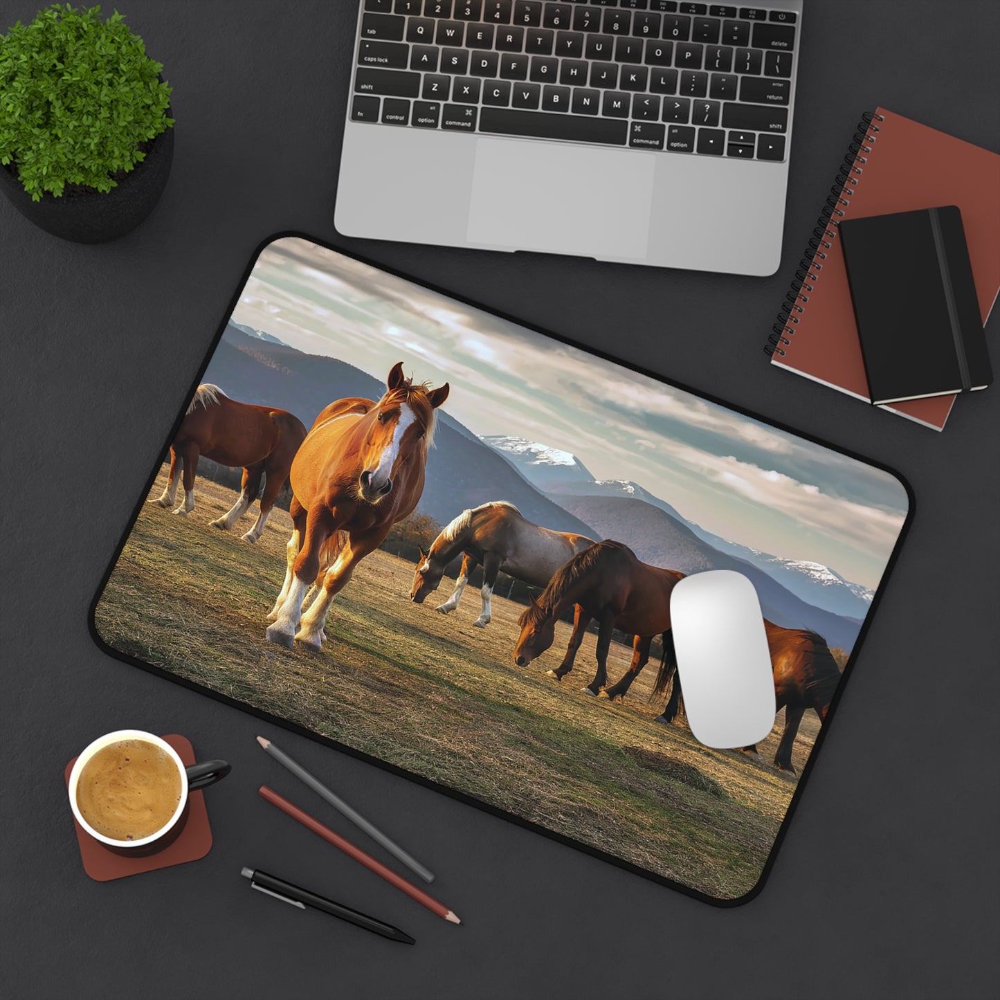 Great Smoky Mountains National Park Horses In a Field During the Winter Desk Mat